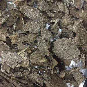 Oud Wood Agarwood Chips