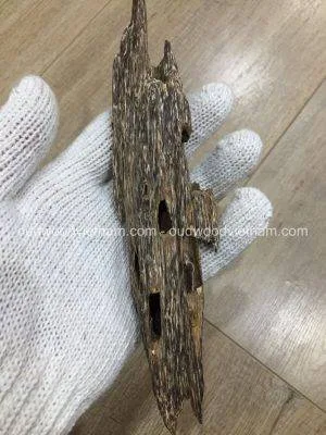 Mini Wild Fragrance Agarwood Aloeswood Handy Sculpture Art Colletion From Khanh Hoa Forest