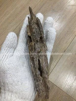 Mini Wild Fragrance Agarwood Aloeswood Handy Sculpture Art Colletion From Khanh Hoa Forest