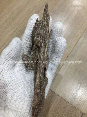 Mini Wild Fragrance Agarwood Aloeswood Handy Sculpture Art Colletion From Khanh Hoa Forest