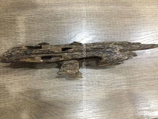 Mini Wild Fragrance Agarwood Aloeswood Handy Sculpture Art Colletion From Khanh Hoa Forest