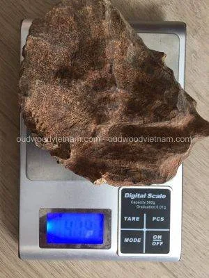 Vietnam Nha Trang Half Sinking Wild Agarwood Oud Piece