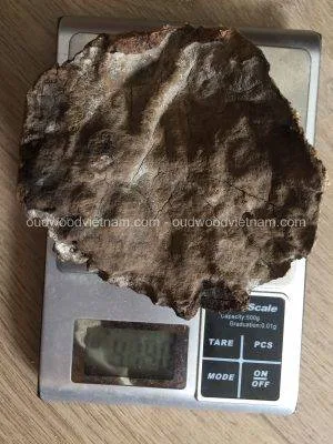 Vietnam Nha Trang Half Sinking Wild Agarwood Oud Piece