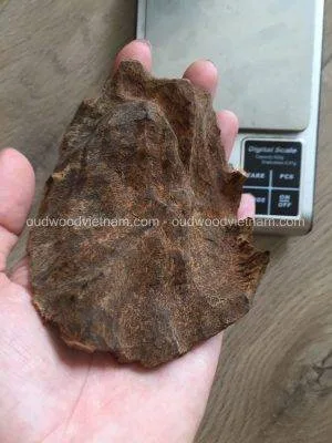 Vietnam Nha Trang Half Sinking Wild Agarwood Oud Piece