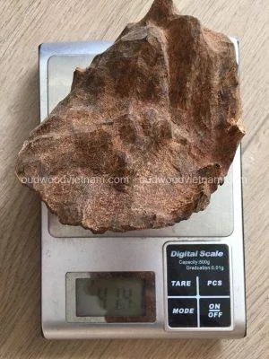 Vietnam Nha Trang Half Sinking Wild Agarwood Oud Piece