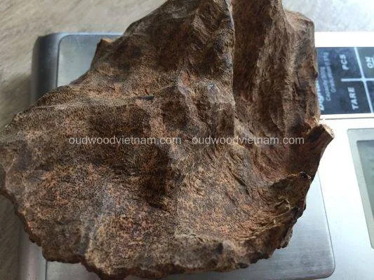 Vietnam Nha Trang Half Sinking Wild Agarwood Oud Piece