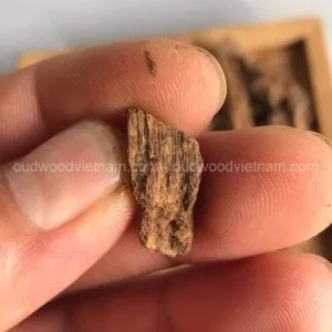 oudwoodvietnam.com-best-soil-oud-chips