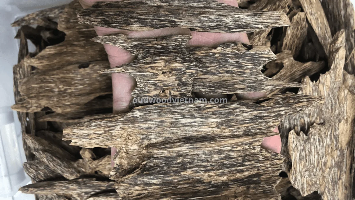 The Effects of Agarwood on Improving Sleep - oudwoodvietnam.com-min.webp