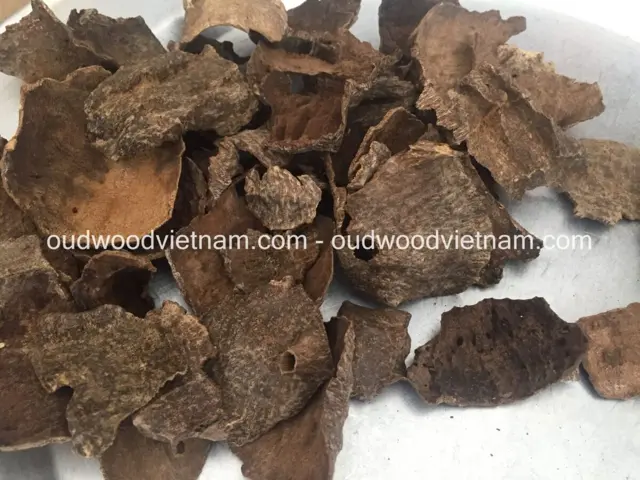 Natural Oud Wood Agarwood Oud Chip | Mo | Grade A